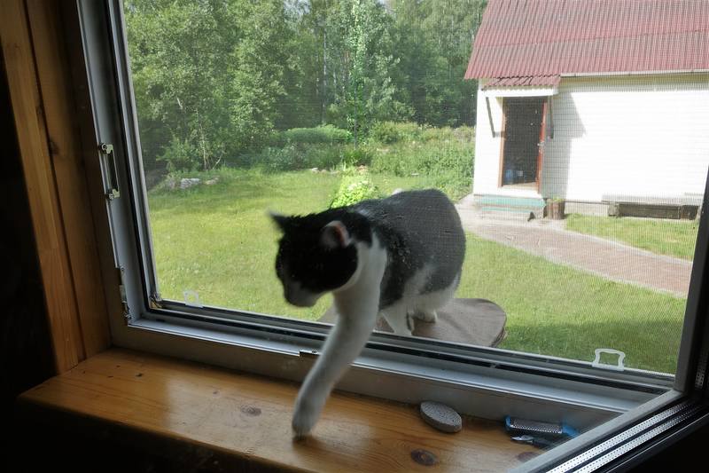 Несчастливый день Несчастливый день