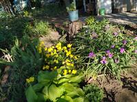 VFL.RU - ваш фотохостинг