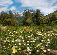 фото Лашкова 2