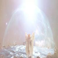 художник Даниэль Ноэль15