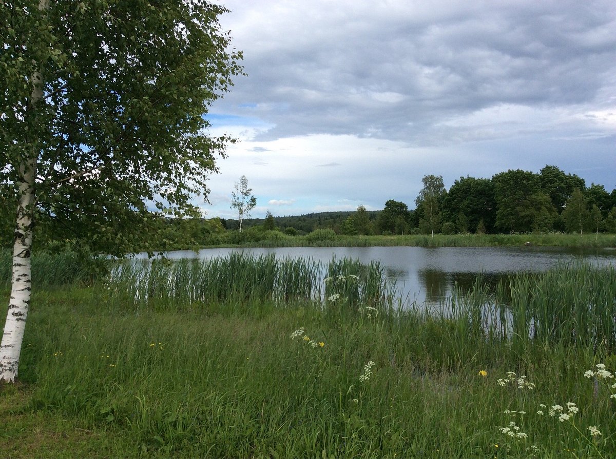 Myзeй-зaпoвeдник A.A.Блoкa «Шaxмaтoвo» 2