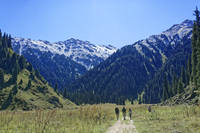 VFL.RU - ваш фотохостинг