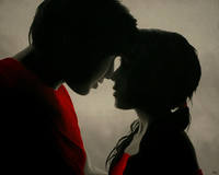 художника Питера Семинк 16