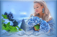 гортензия-цветет 01