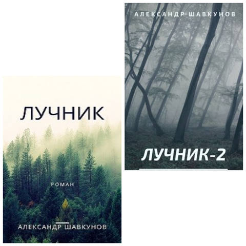 Серия "Лучник" 2 книги