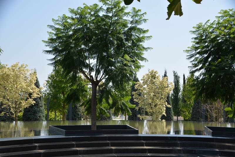 Парк (7) Парк (7)