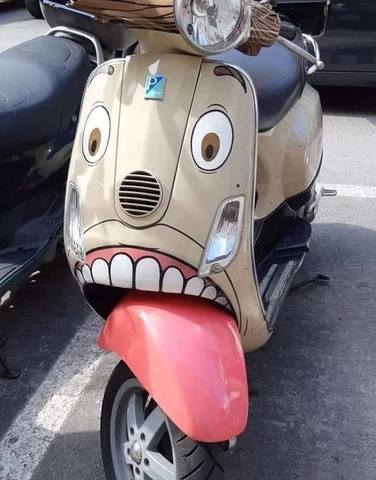 35493907_m.jpg
