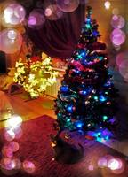 НАДЕЖДА ДУХАНИНА,Надя Немцева Духанина