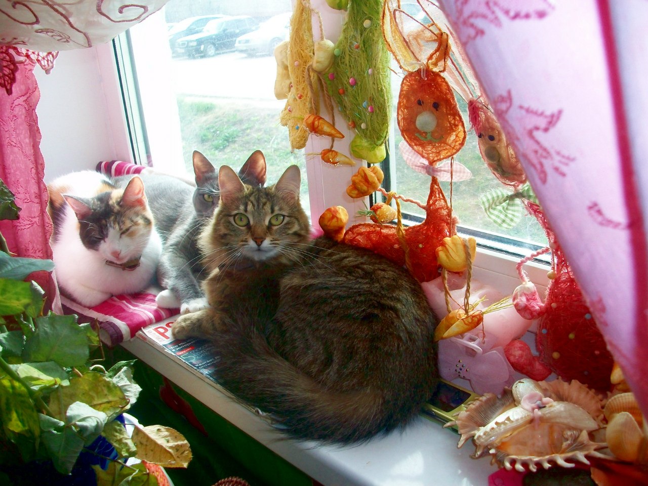 НАДЕЖДА ДУХАНИНА,Надя Немцева Духанина (52)