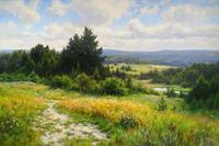 Художник Вадим Зайнуллин6