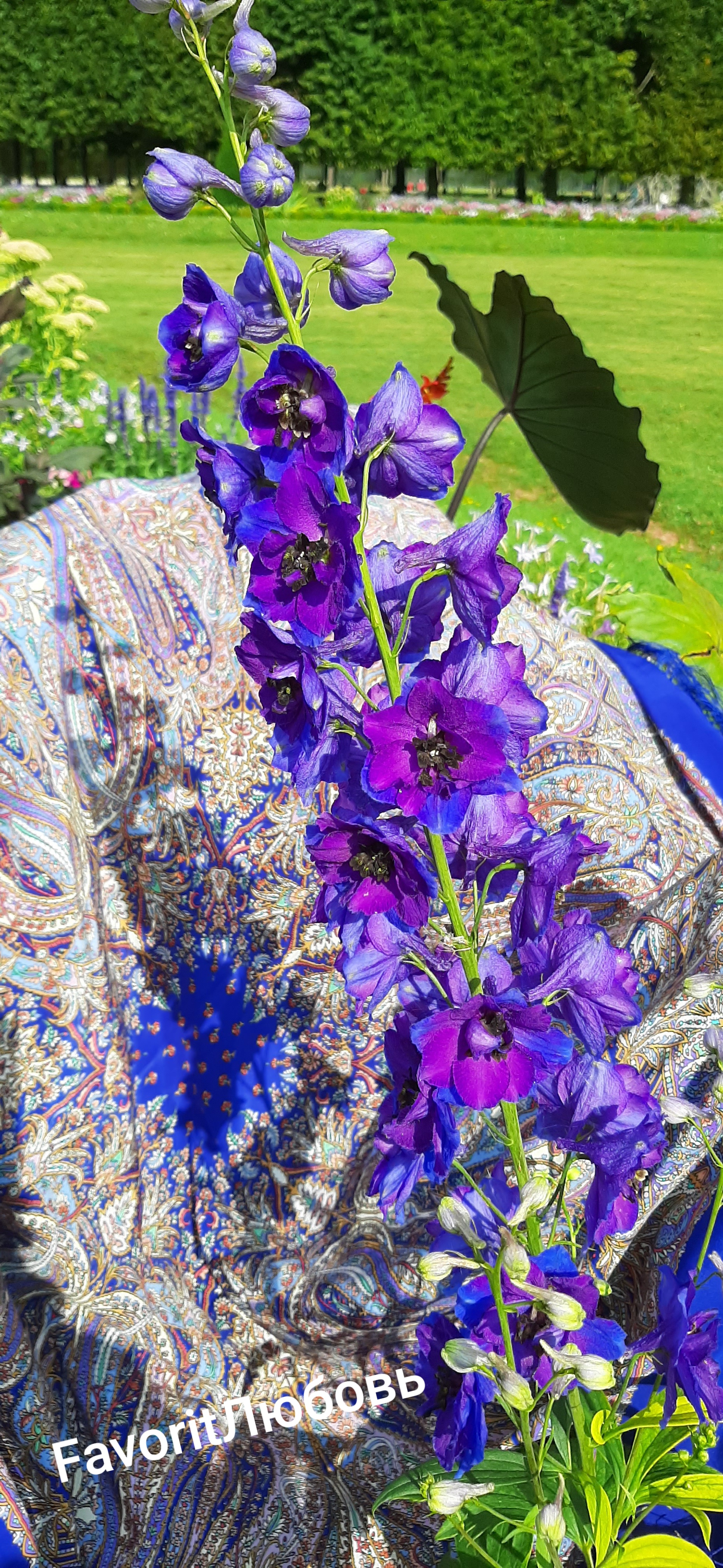 Синяя шаль и синие цветы