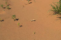 Национальный парк Алтын-Эмель 2-2