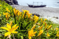 Полуостров Краббе 17