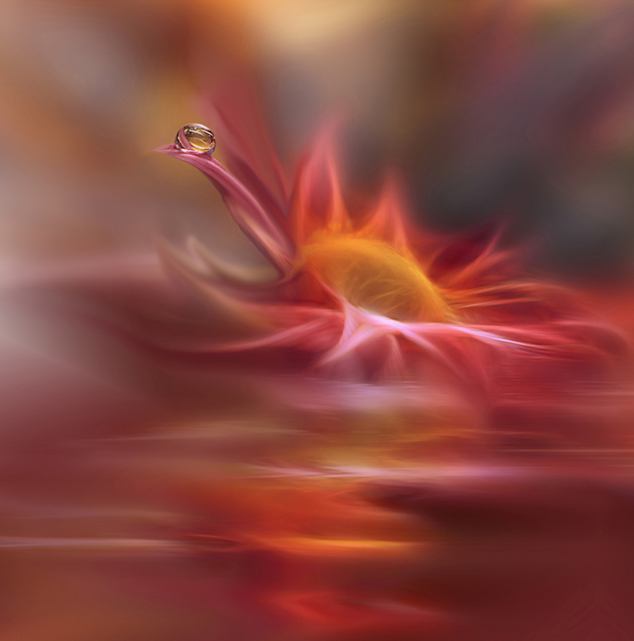 фото Джулианы Нан6