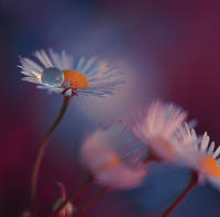 фото Джулианы Нан14