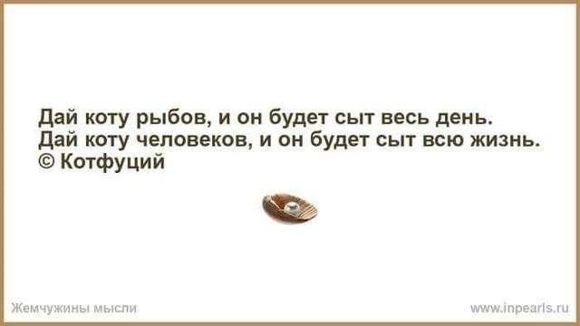 35722887_m.jpg