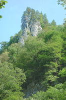 Скала над Гуамским ущельем. Фото Морошкина В.В.