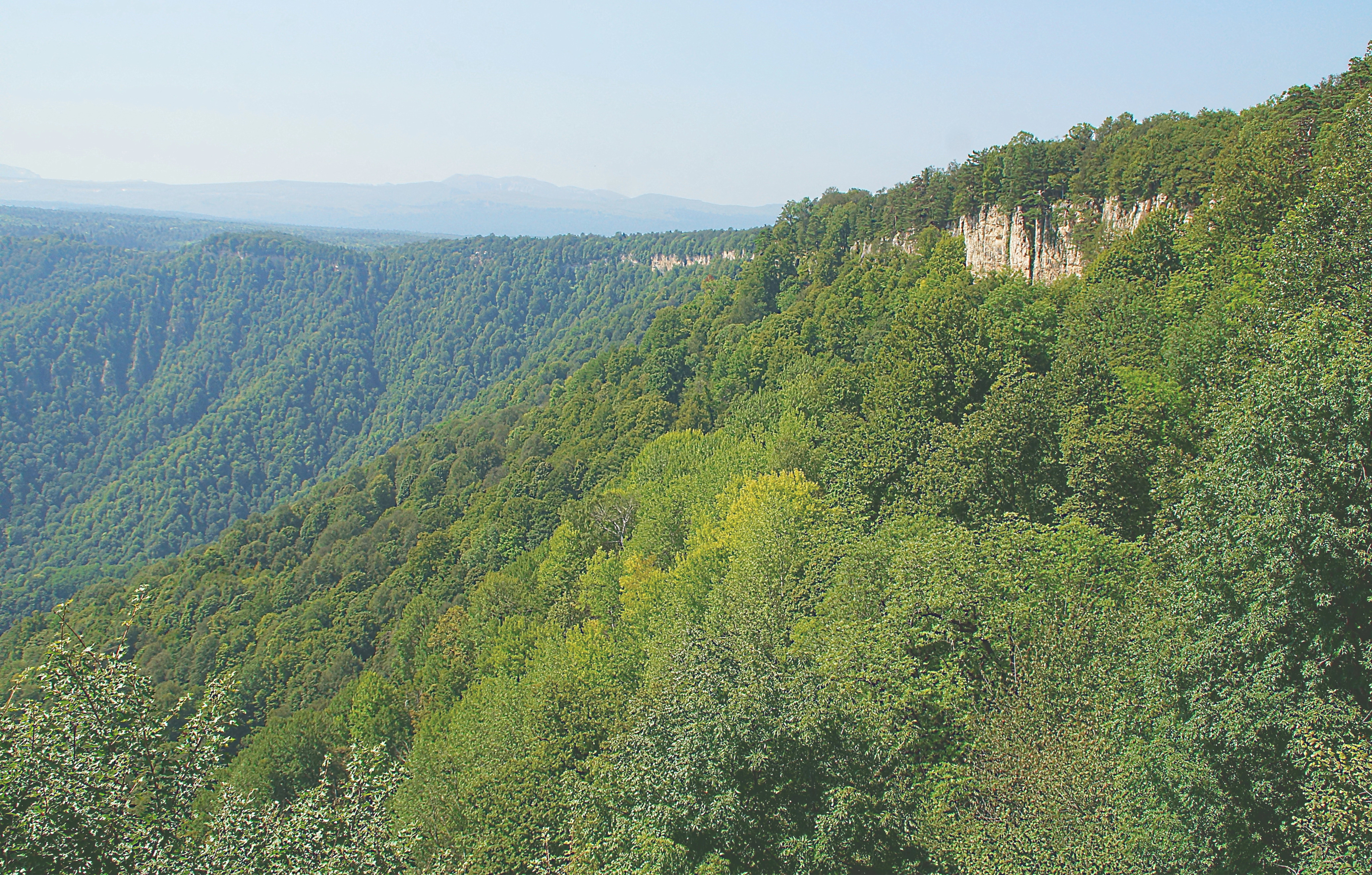 Лесистые горы Адыгеи. Фото Морошкина В.В.