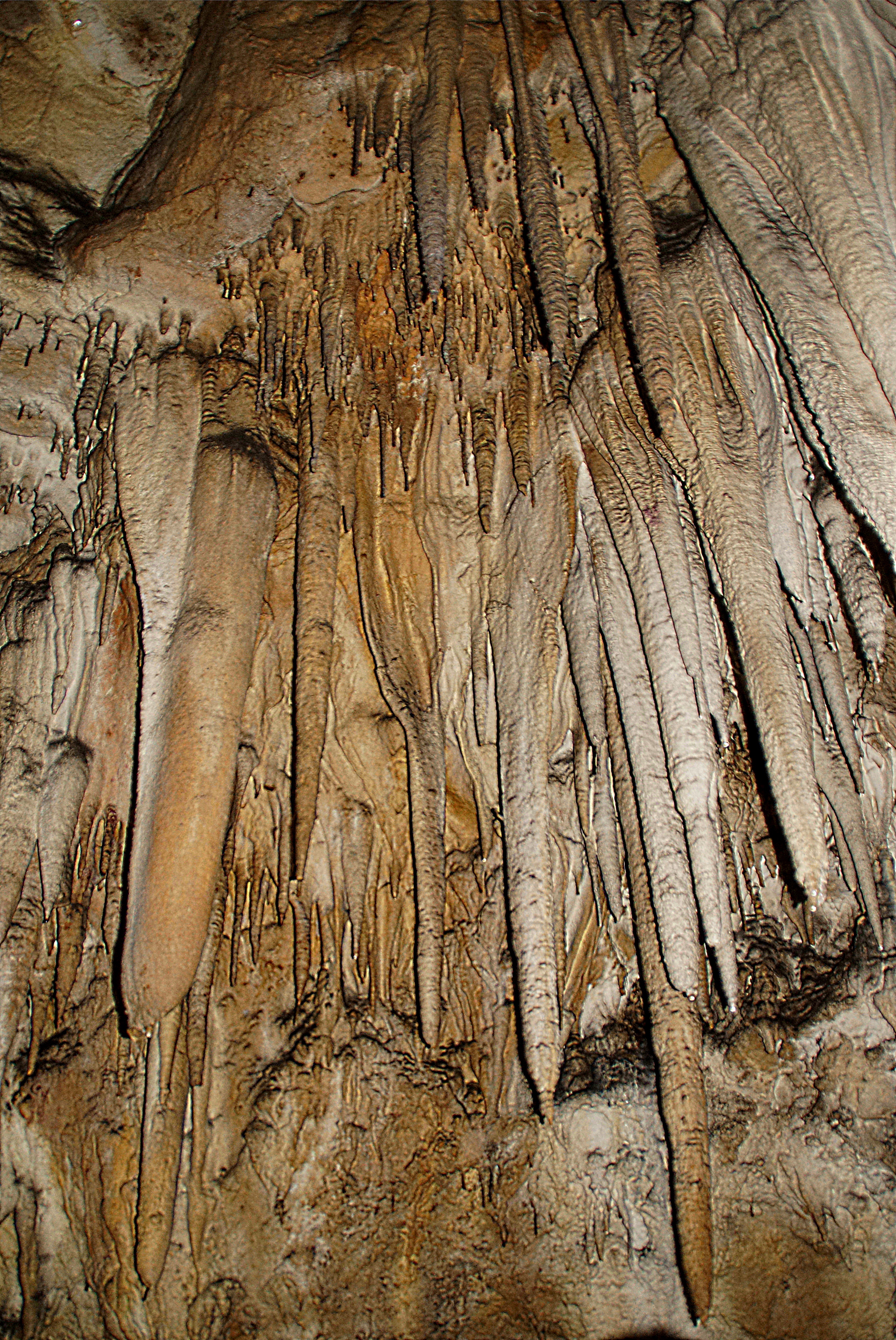 Сталактиты в пещере Азишской. Фото Морошкина В.В.