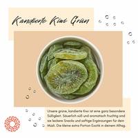 Kiwi Fruit Getrocknete Scheiben 06 Kiwi Fruit Getrocknete Scheiben 06