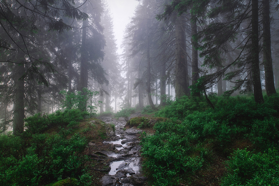 фотограф Килиан Шенбергер8-1