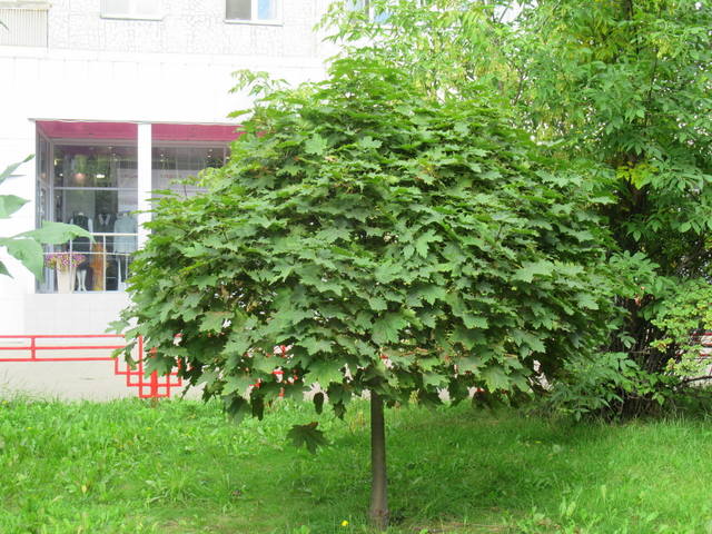 VFL.RU - ваш фотохостинг VFL.RU - ваш фотохостинг