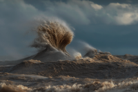 фотограф Дэйв Сэндфорд7