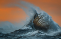 фотограф Дэйв Сэндфорд1-2