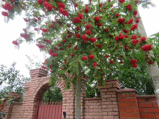 VFL.RU - ваш фотохостинг VFL.RU - ваш фотохостинг