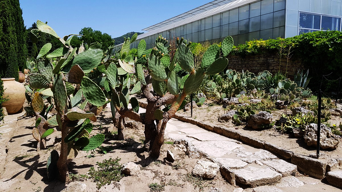 парковый комплекс «Двореца»4