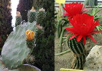 парковый комплекс «Двореца»5