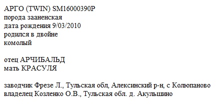 Арго анк kalipso