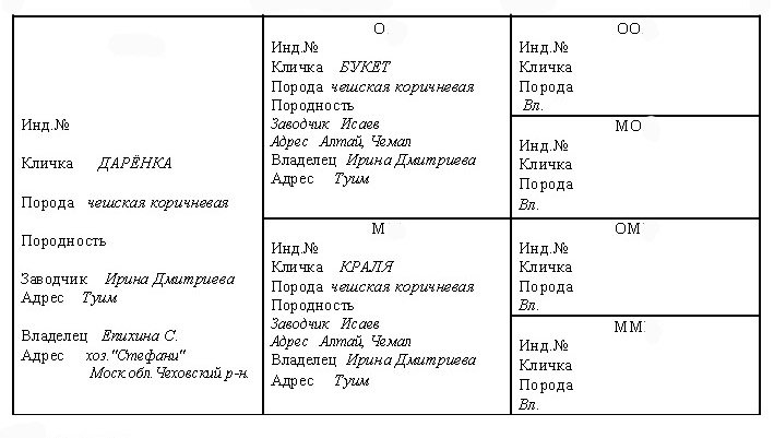 Даренка род Стефани