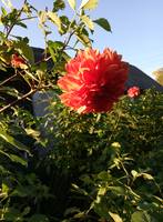 VFL.RU - ваш фотохостинг