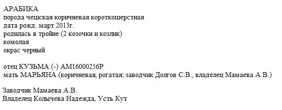 Кармен мать Арабика Алла Мамаева