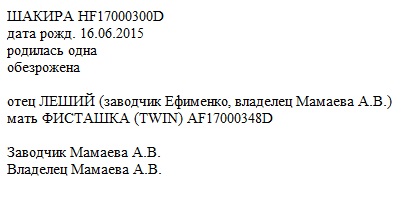 Шакира анк Алла Мамаева