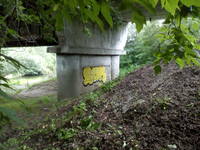 граффити Ramon