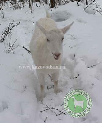 Любка 2 Марина Родина