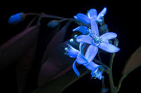 фотограф Крейг Берроуз3-2