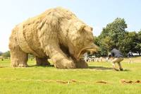 Фестиваль Вара5