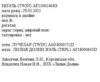 Ниэль анк liliadolin