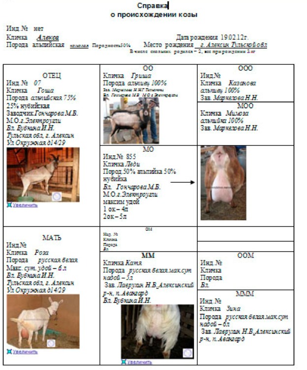 Алекса род ИрЭН