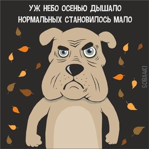 36007140_m.jpg