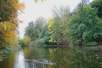 Пруд на Воробьёвых горах. Фото Морошкина В.В.