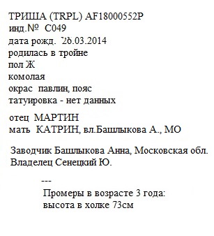 Триша анк ЮрийСС