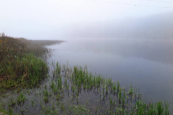 VFL.RU - ваш фотохостинг VFL.RU - ваш фотохостинг