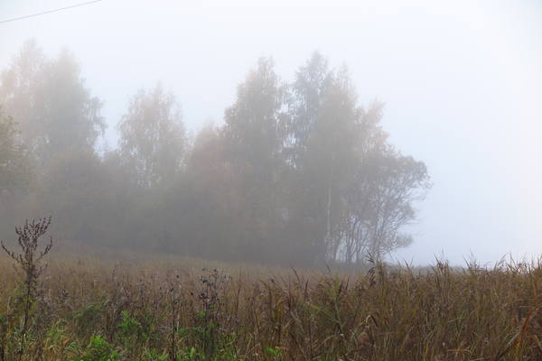 VFL.RU - ваш фотохостинг VFL.RU - ваш фотохостинг