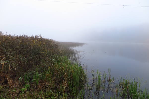 VFL.RU - ваш фотохостинг VFL.RU - ваш фотохостинг