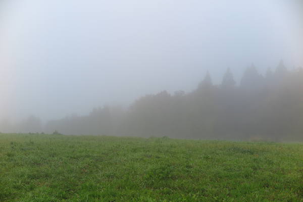 VFL.RU - ваш фотохостинг VFL.RU - ваш фотохостинг