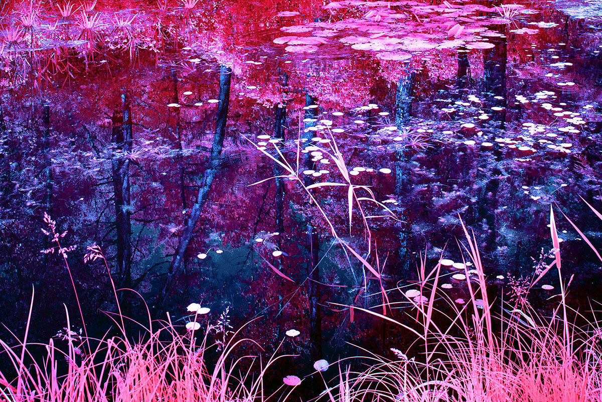 фотограф Zak van Biljon6